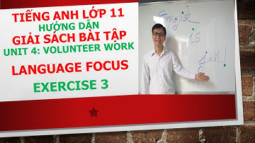 Tiếng Anh lớp 11 - Giải SBT - Unit 4 - Language focus - Exercise 3