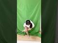 くねくね #shorts