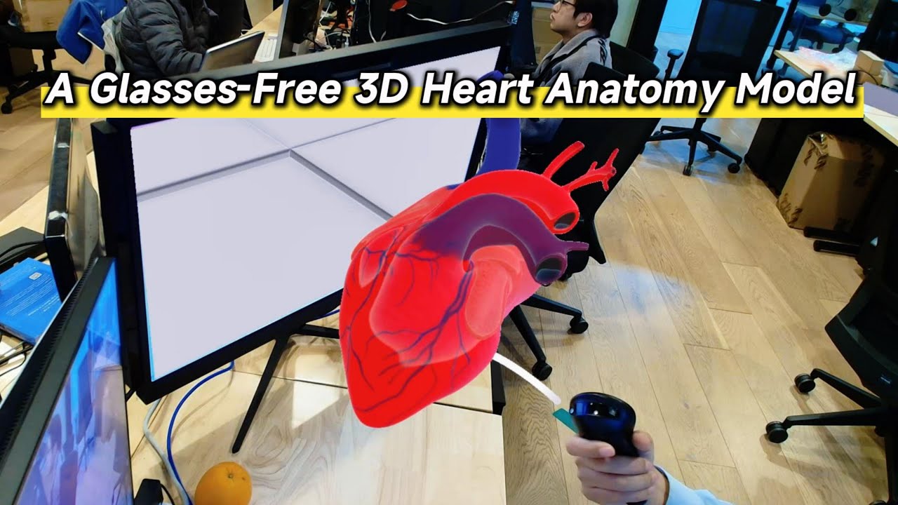 🚀A Glasses-Free 3D Heart Anatomy Model!