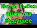 Настя Рыбка. Прогноз. Будущее.