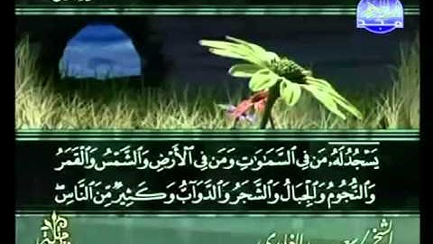القرآن الكريم - الجزء السابع عشر - تلاوة سعد الغامدي - 17