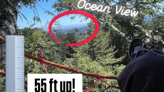 Building a￼ 55 ft tall Tree Net in a Redwood with an Ocean View | Part 1