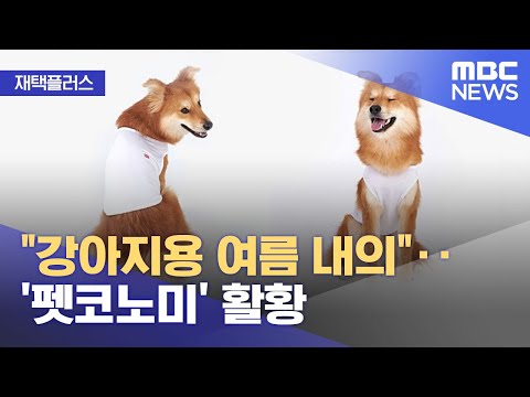 [재택플러스] "강아지용 여름 내의"‥'펫코노미' 활황 (2022.05.18/뉴스투데이/MBC)