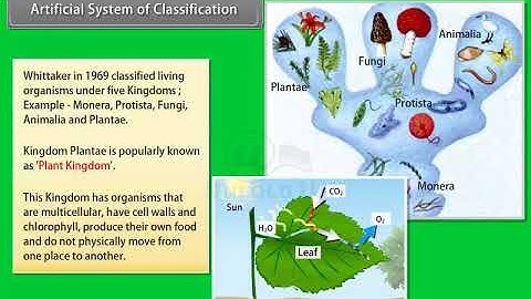 Ch 3 - Plant Kingdom | Artificial system of Classification