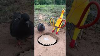 Amazing Unique Pigeon Trap Using and Paper #survival #experiment #campping #birds
