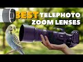 Best Telephoto Superzoom Lenses for Wildlife Photography