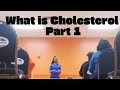What is Cholesterol
