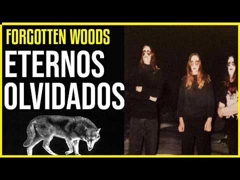 The History of Forgotten Woods | Their Importance in the History
