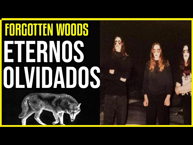 The History of Forgotten Woods | Their Importance in the History