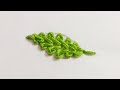 Beautiful Leaf Hand Embroidery Design | So Cute Leaf Embroidery Design |