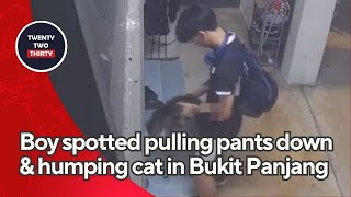 Sick Boy spotted pulling pants down & humping cat in Bukit Panjang