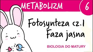 Metabolizm 6 - Proces fotosyntezy cz. 1 faza jasna przebieg - biologia rozszerzona liceum matura