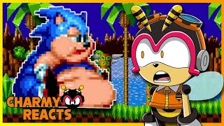 SONIC! WHY YOU SO CHONKY?! - Charmy Reacts to Sonic Oddshow HD Remix