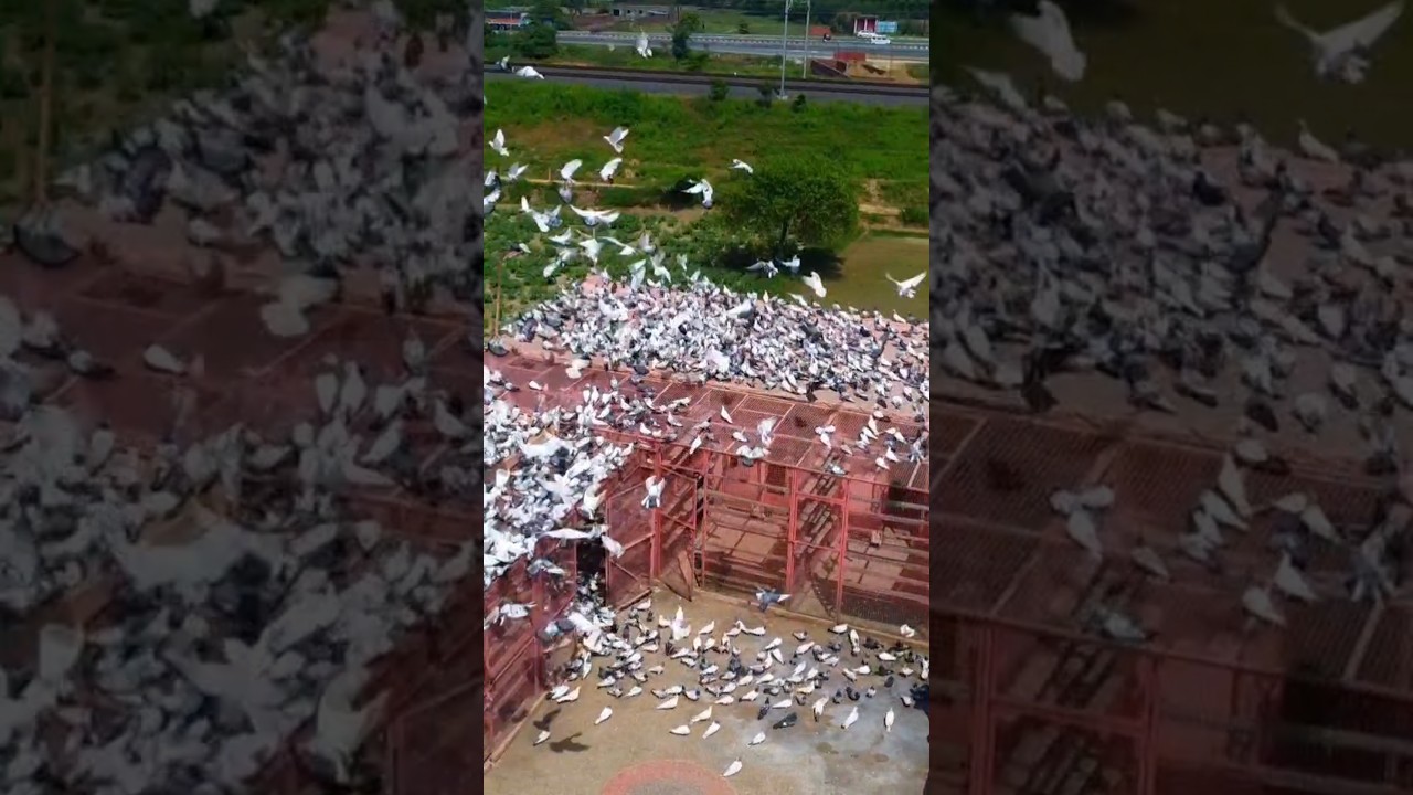 Abhi to khel Shuru Hua hai 