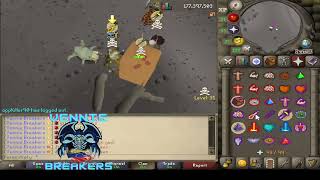 Vennie Breaking Activities 4 - Runewild-