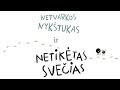 Netvarkos nykštukas ir netikėtas svečias / Knyga