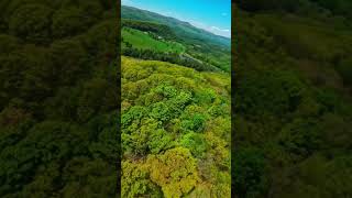 Surfing down | Dji Avata2 #fpvlife #fpv #dji #fpvlife #fpvfreestyle #chill #djifpv #djidrone