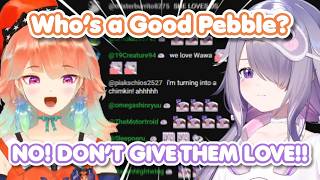 Biboo Panics When Kiara Suddenly Shows Pebbles Love