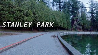 Relaxed rain walk | Stanley Park Seawall | Vancouver, BC Canada 4K Virtual Walk