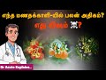 மண தக்காளி கிரை பயன்கள் ! கருப்பு? மஞ்சள்? சிவப்பு? – எது ஆபத்து?| Dr Acute | #manathakkalikeerai