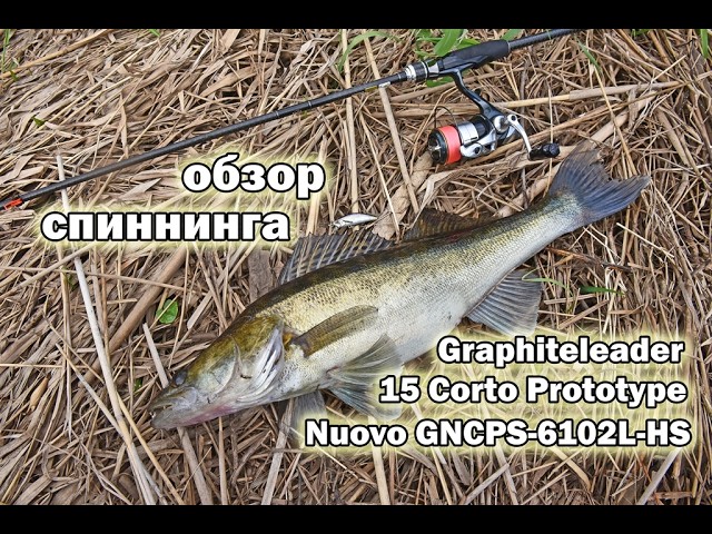 Review of the Graphiteleader 15 Corto Prototype Nuovo 6102L-HS