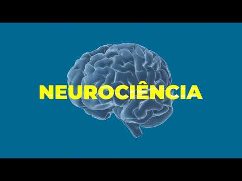 Produtora de vídeo em Maceió - Animação 2D, 3D e ... - YouTube