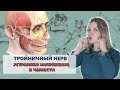 Как быстро уснуть / 4 простых упражнения