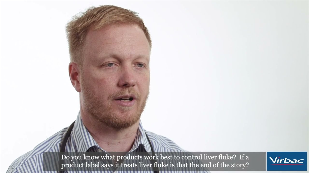 The importance of controlling 2 week old liver fluke