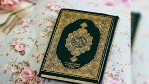 سورة المزمل: القارئ محمد عبد الحكيم سعيد عبد الله