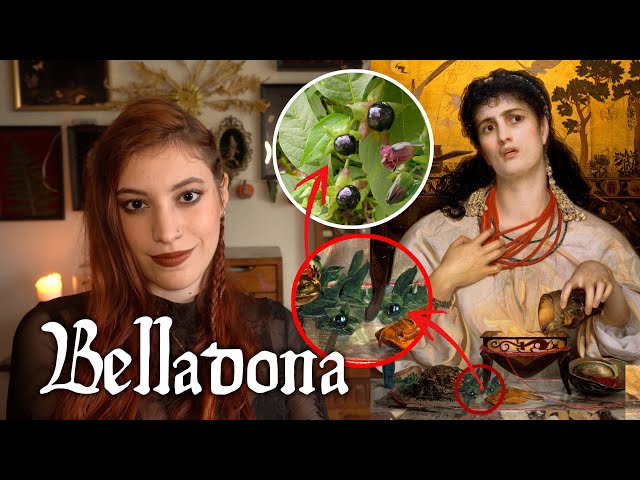 La BELLADONA💀🌿: ungüento de brujas y peligroso cosmético || Hierbas brujas