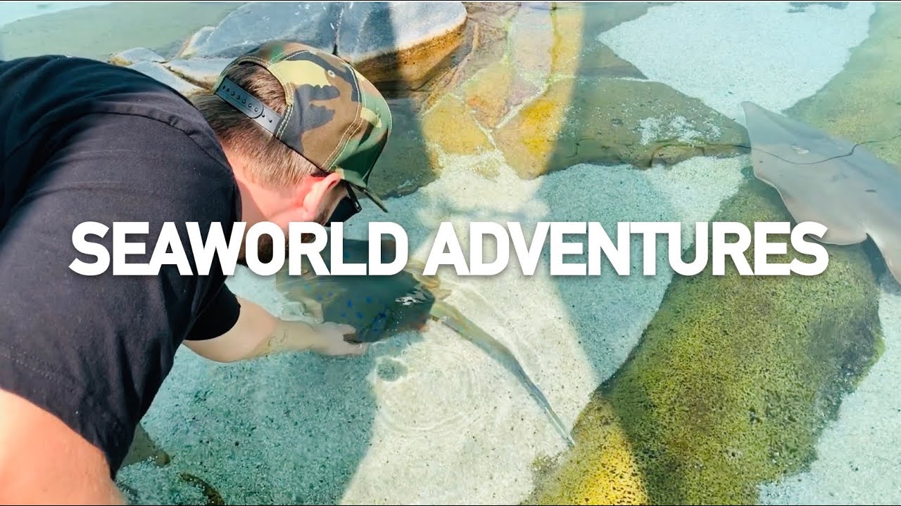 We Went To SeaWorld On The Gold Coast - YouTube