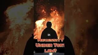 Understanding Necessity under Tort Law #legalinsights #personalinjuryattorneys #injuryattorneys