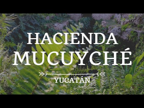 Hacienda MUCUYCHÉ y sus increíbles Cenotes | Mérida, Yucatán