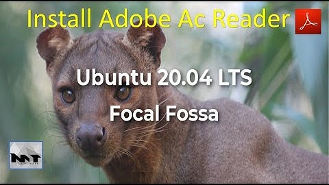 How To Install Adobe Acrobat Reader on Ubuntu 20.04