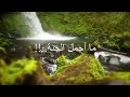 ما أجمل الجنه انها دار الخلود انها دار السعاده ألهم ارزقنا جنه الفردوس 🤲⁦❤️⁩