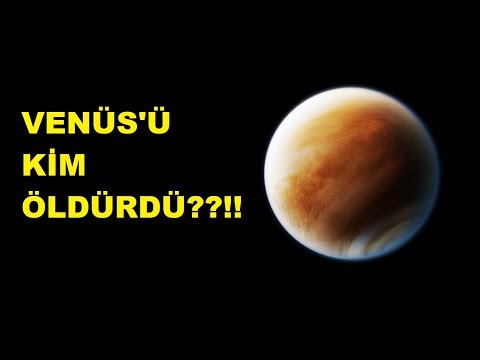 Video: Yarım kabuğa Venüs'ü kim boyadı?