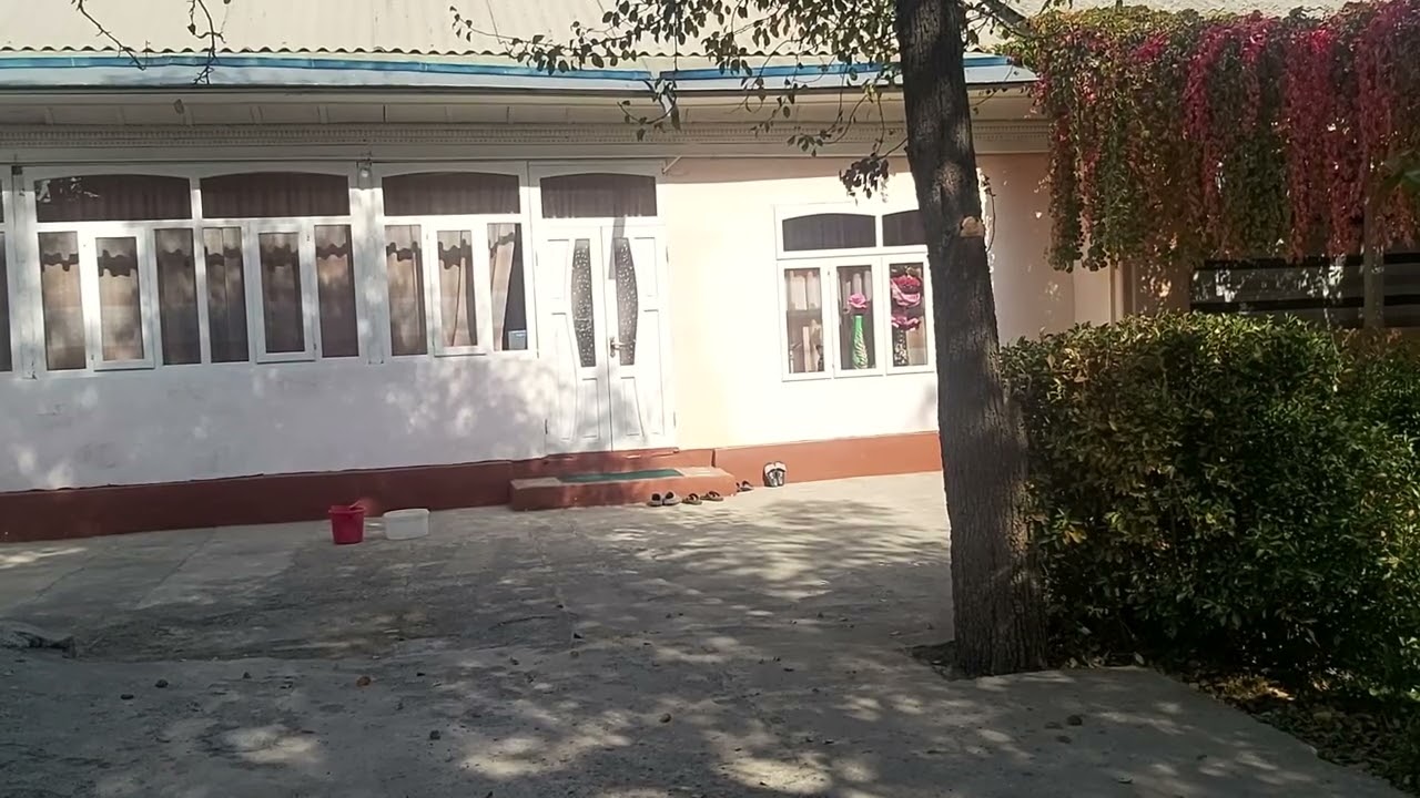 20 февраля 2026 г.