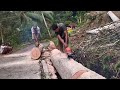 the process of splitting large logs in the forest