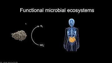 CCSS Meeting #74: Learning microbiome design principles from natural variation