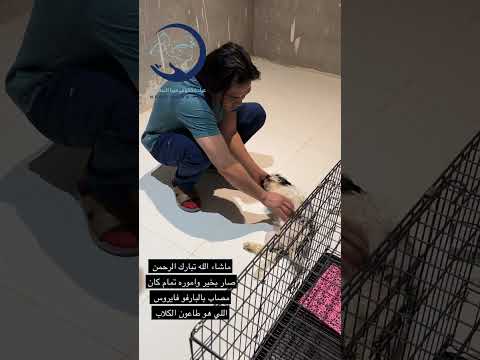 افتتاح عيادة كفوف ميرا البيطريه