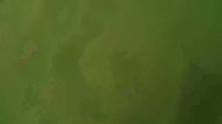 Highlight 4:54 - 9:54 from village girl'  is live #live #1milion screenshot 3