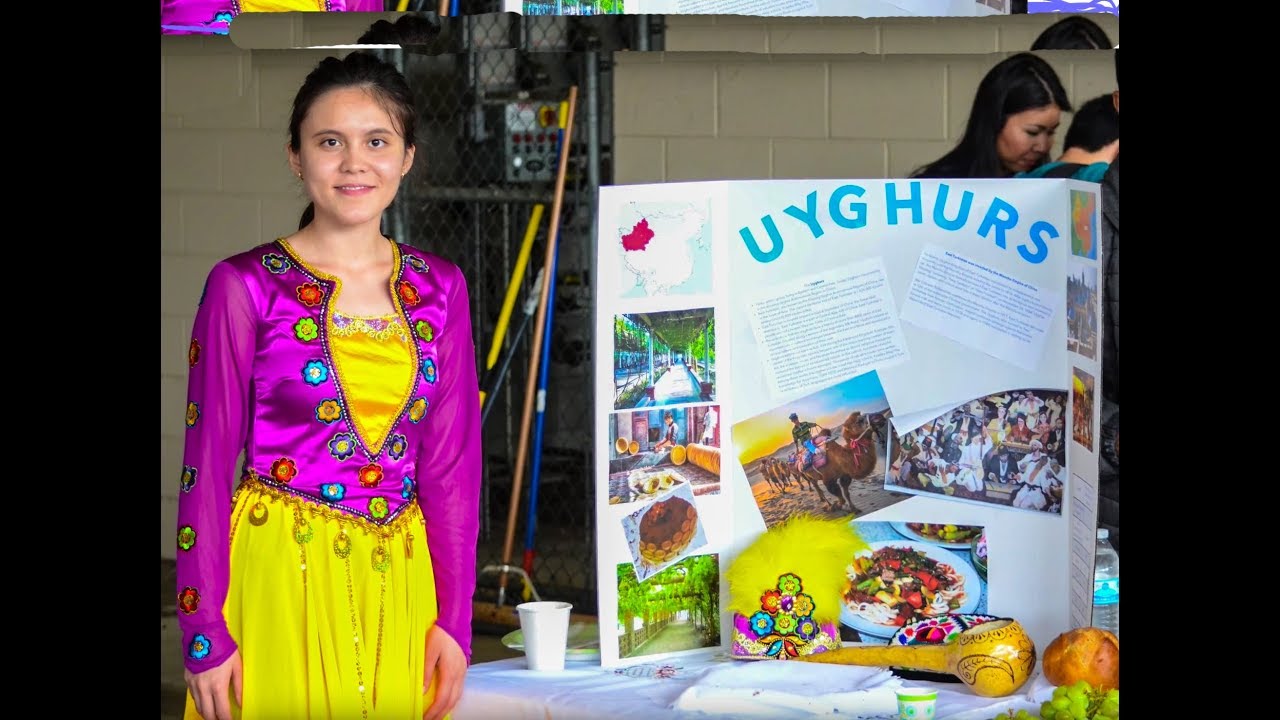 North American University || Culture Day 2017 