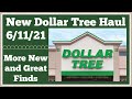 New Dollar Tree Haul 🤑 6/11/21 New Items