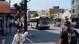 NJ Transit 84 91st Street via Bergenline (5892)