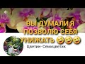 РАЗОБЛАЧЕНИЯ ОРХО(Г.....О)ГРУППЫ/ВЫ ХОТЕЛИ/ПОЛУЧИТЕ