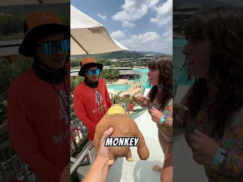 Squishy monkey with sister on the water slide🥰