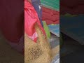 The way people load rice onto boats | Mekong River
