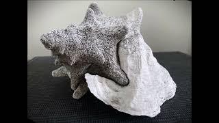 Opposite of Blink 'Seeing Art (Photos by Richard Rydell)' 2026