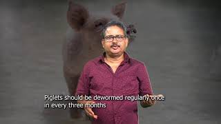 Module-37: Basic Training on Pig Farming