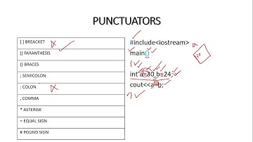 Punctuators in C++ programming-C++ lesson for beginners (Urdu/Hindi)